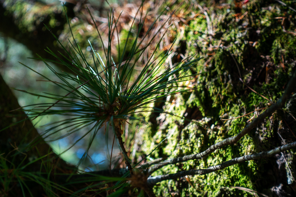 DSC01756.JPG DSC01756.JPG