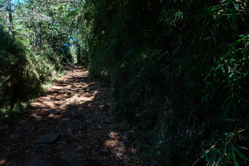 DSC01774.JPG DSC01774.JPG