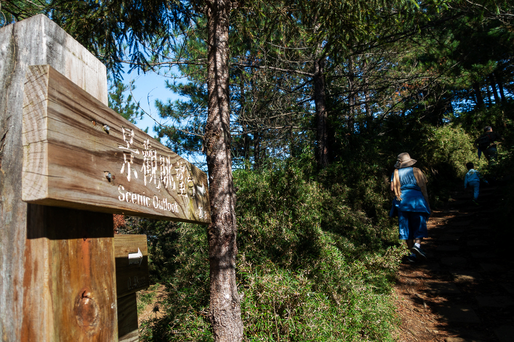 DSC01777.JPG DSC01777.JPG