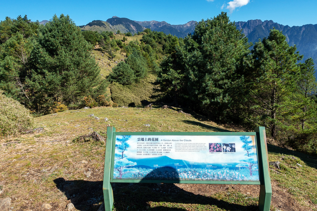 DSC01781.JPG DSC01781.JPG