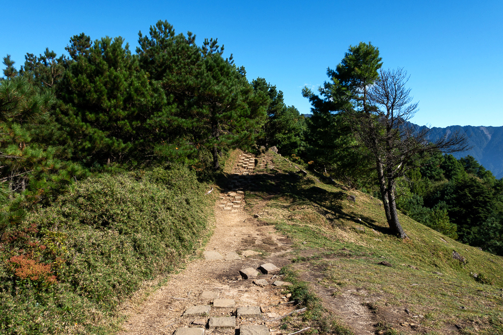 DSC01788.JPG DSC01788.JPG