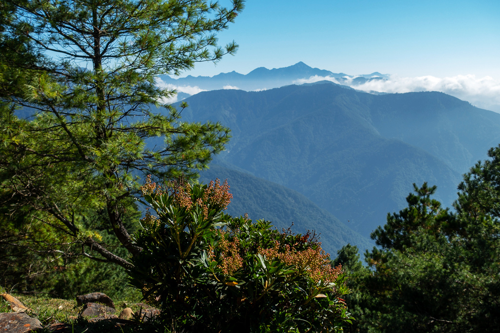 DSC01791.JPG DSC01791.JPG