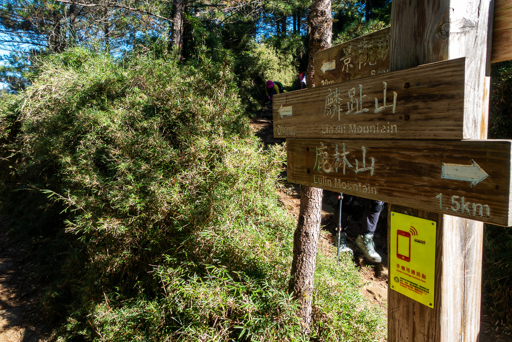 DSC01787.JPG DSC01787.JPG