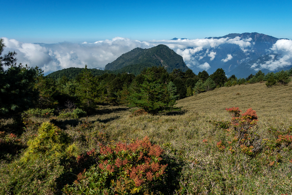 DSC01796.JPG DSC01796.JPG