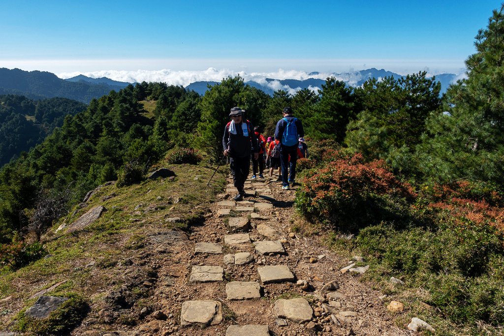 DSC01797.JPG DSC01797.JPG