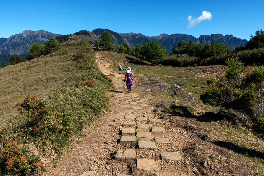 DSC01798.JPG DSC01798.JPG