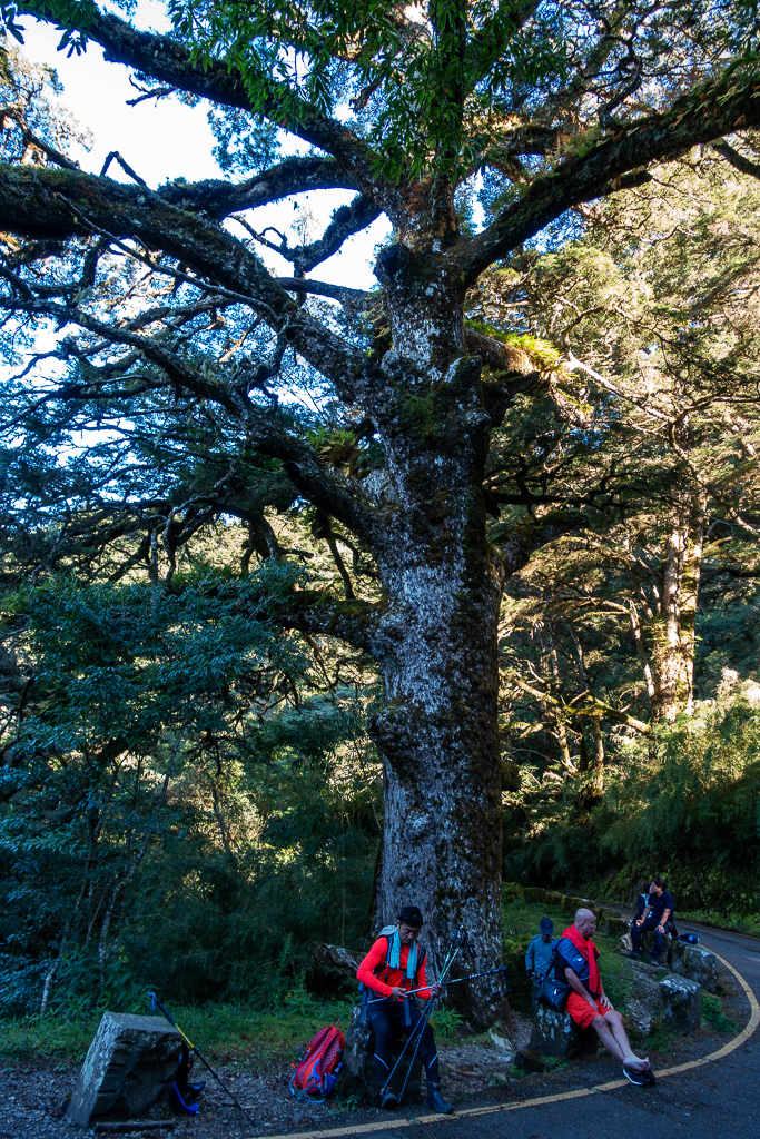 DSC01889.JPG DSC01889.JPG