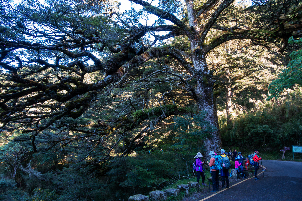 DSC01895.JPG DSC01895.JPG