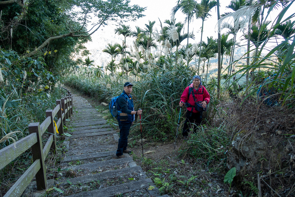 DSC02547.JPG DSC02547.JPG