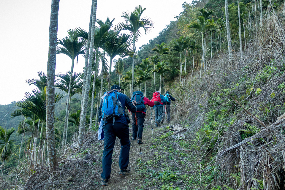 DSC02555.JPG DSC02555.JPG