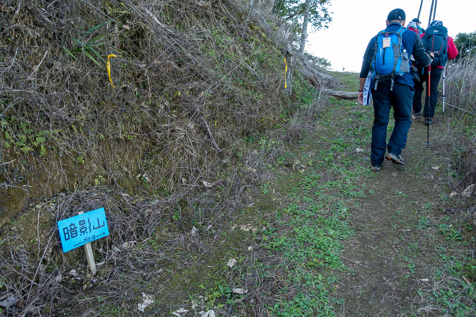 DSC02559.JPG DSC02559.JPG