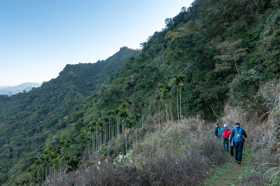 DSC02560.JPG DSC02560.JPG