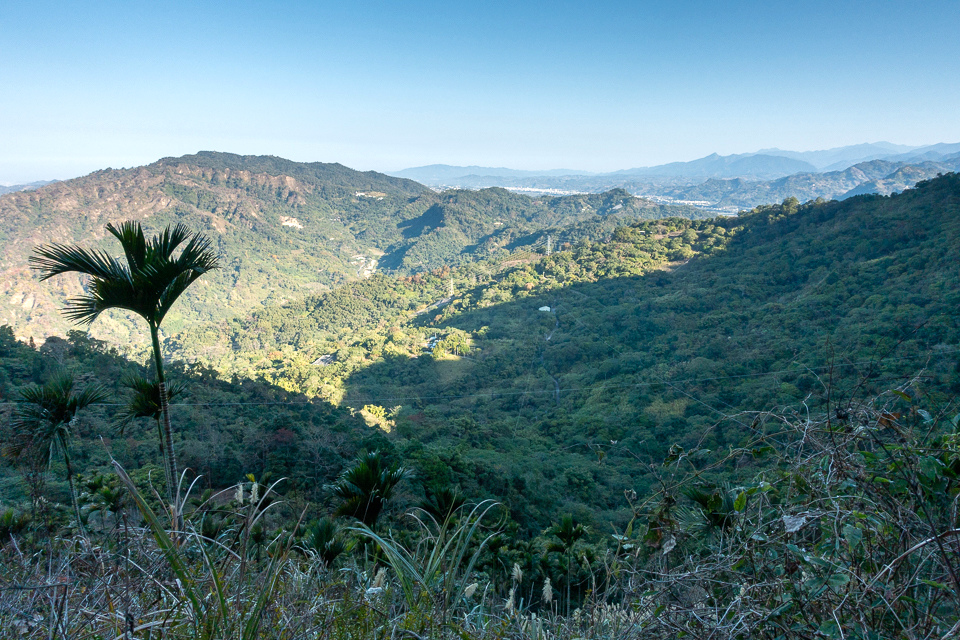 DSC02561.JPG DSC02561.JPG