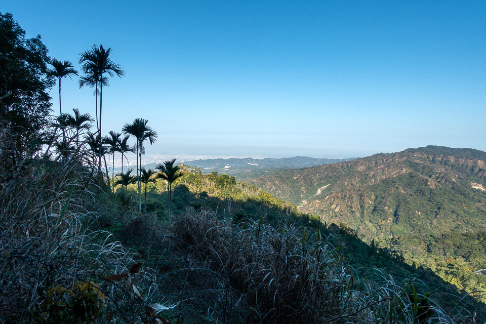 DSC02570.JPG DSC02570.JPG