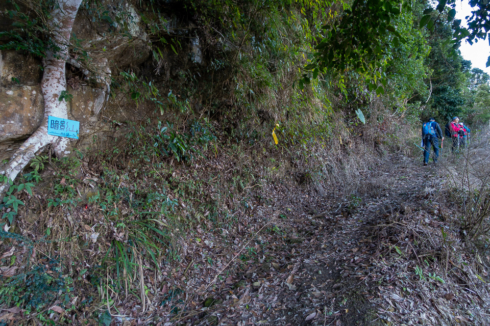 DSC02569.JPG DSC02569.JPG