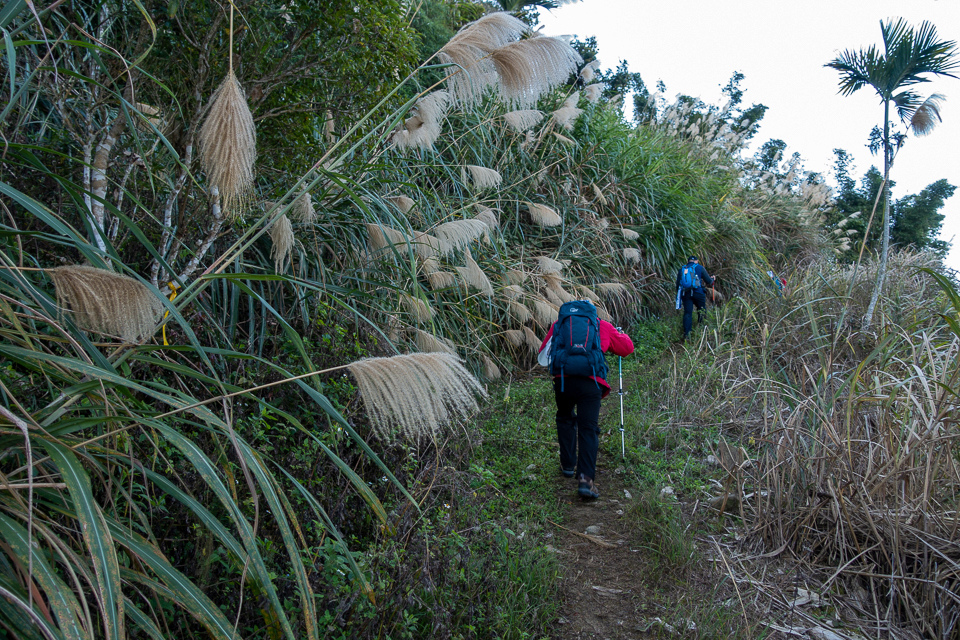 DSC02571.JPG DSC02571.JPG