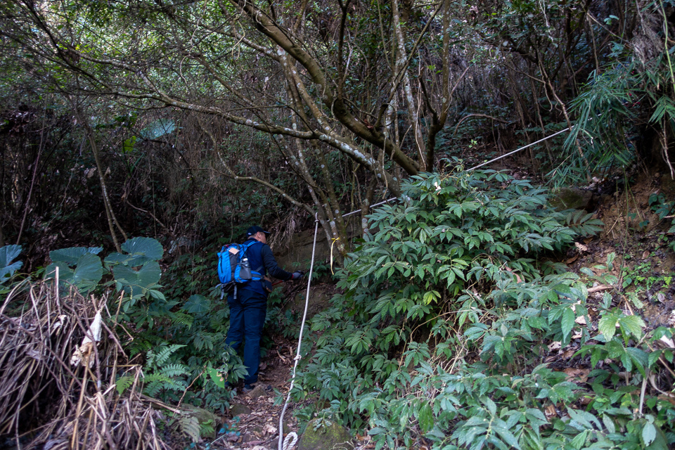 DSC02574.JPG DSC02574.JPG