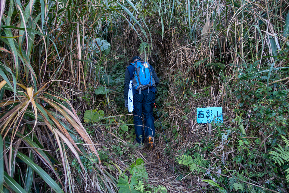 DSC02573.JPG DSC02573.JPG