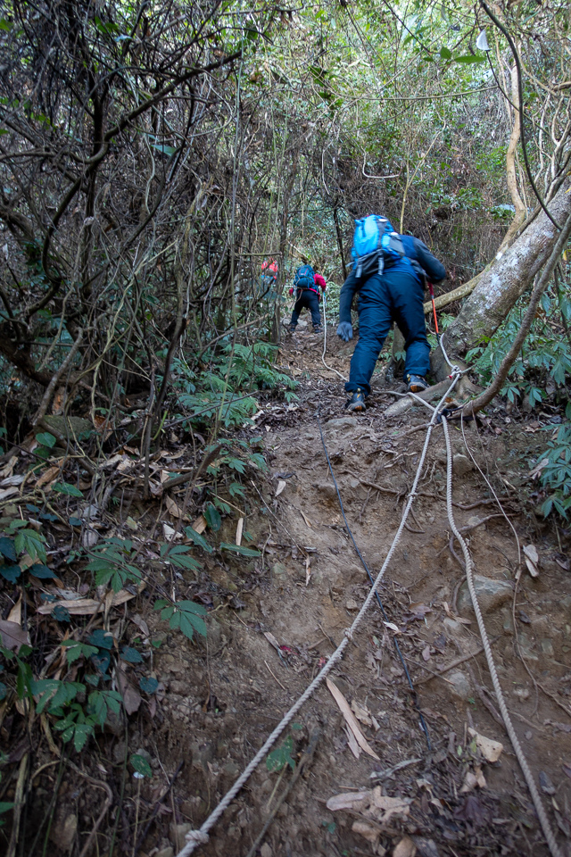 DSC02576.JPG DSC02576.JPG