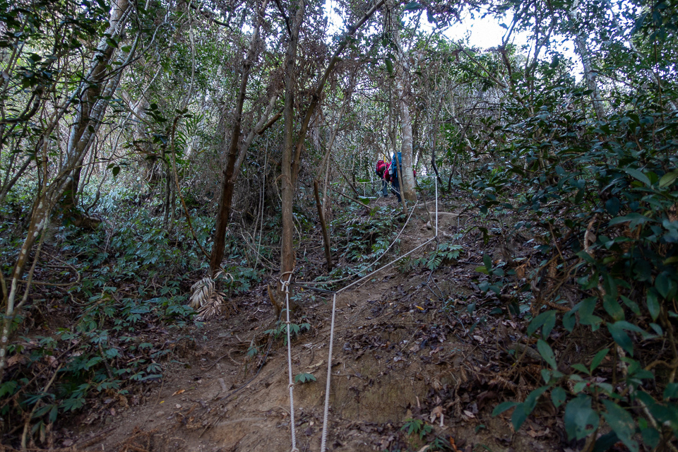 DSC02585.JPG DSC02585.JPG