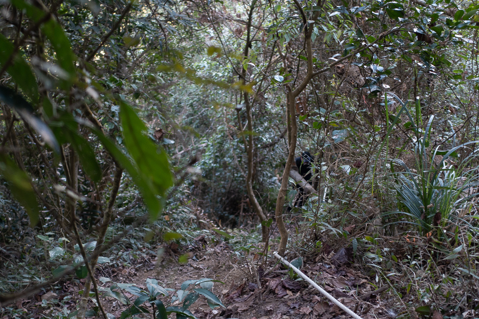 DSC02587.JPG DSC02587.JPG