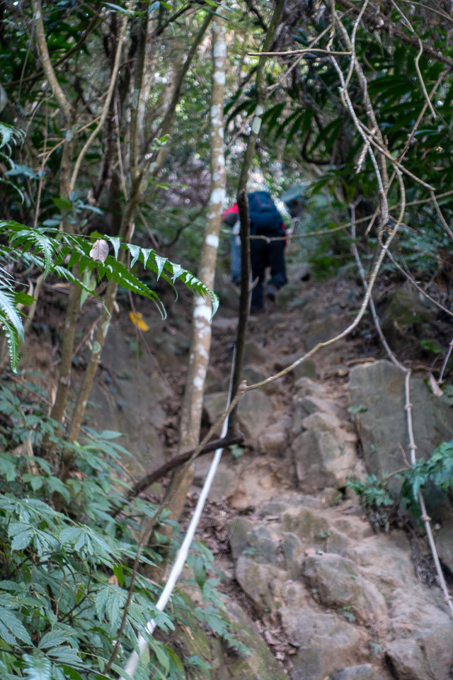 DSC02592.JPG DSC02592.JPG