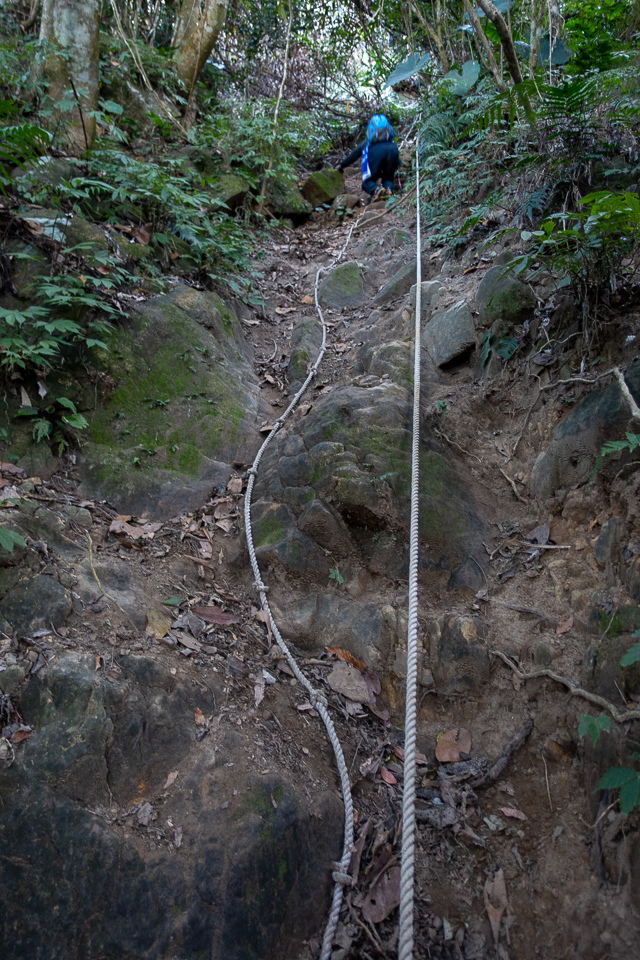 DSC02596.JPG DSC02596.JPG