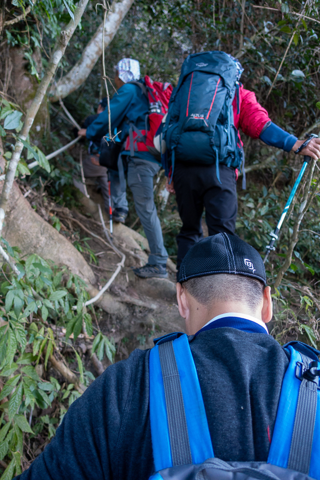 DSC02598.JPG DSC02598.JPG