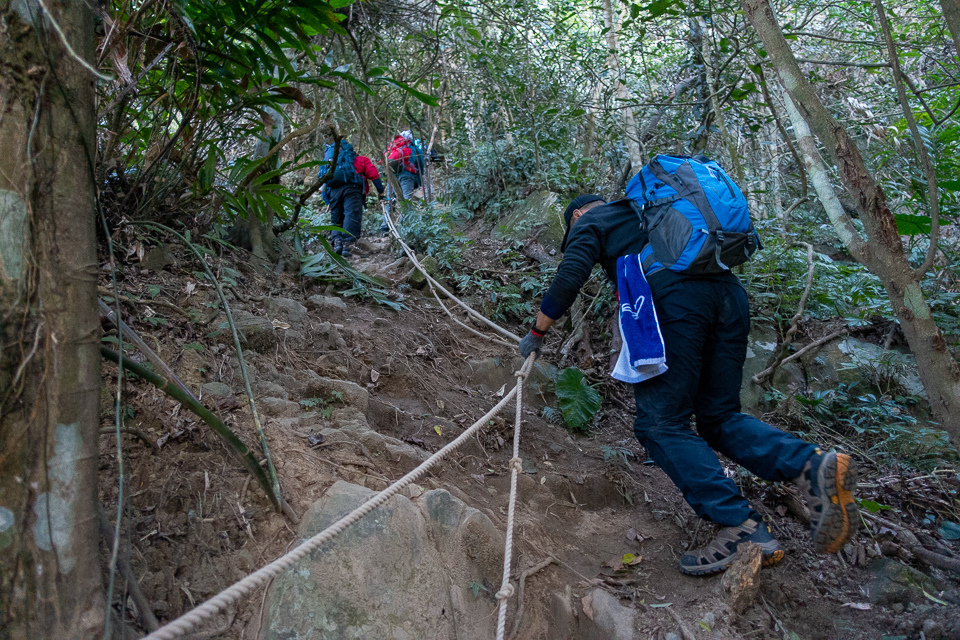 DSC02600.JPG DSC02600.JPG