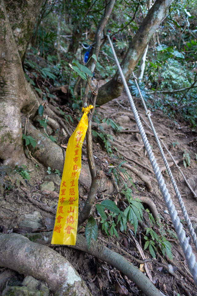 DSC02602.JPG DSC02602.JPG