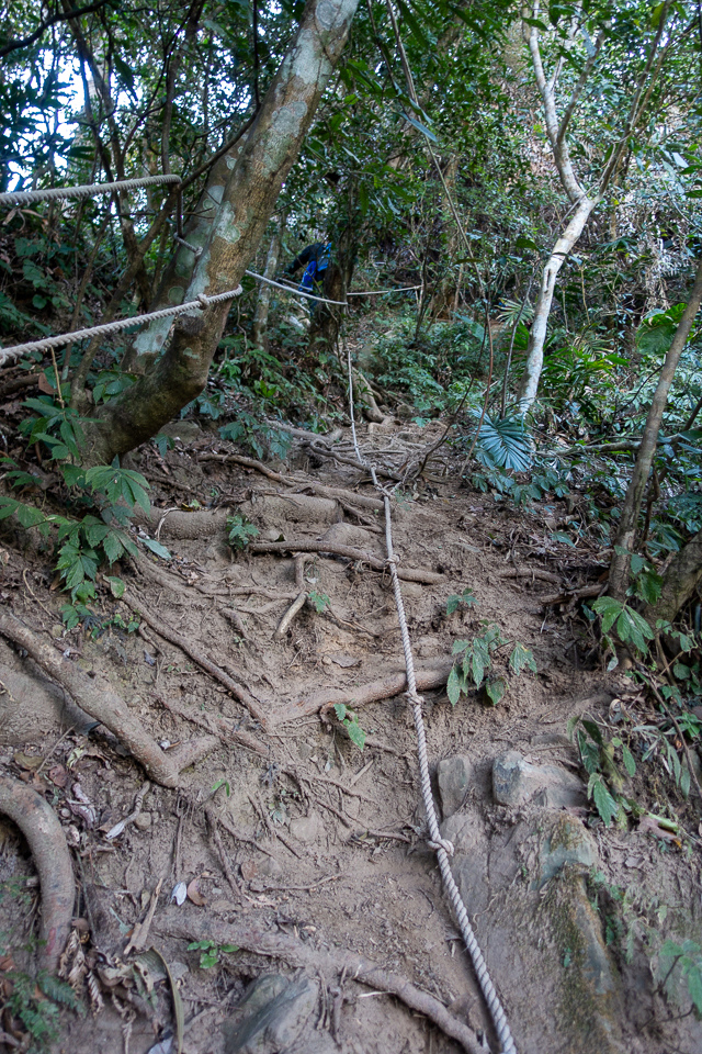 DSC02603.JPG DSC02603.JPG