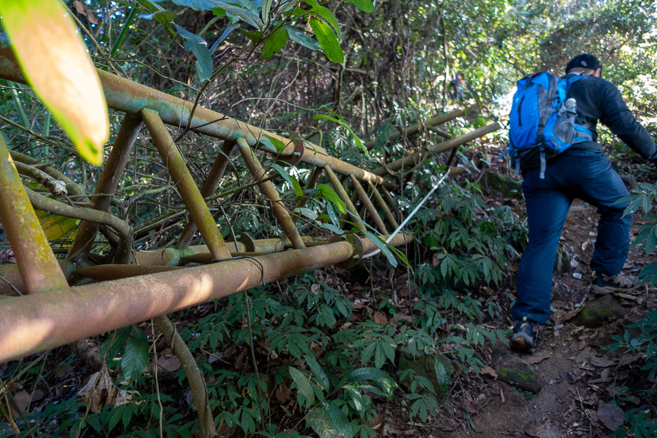 DSC02612.JPG DSC02612.JPG