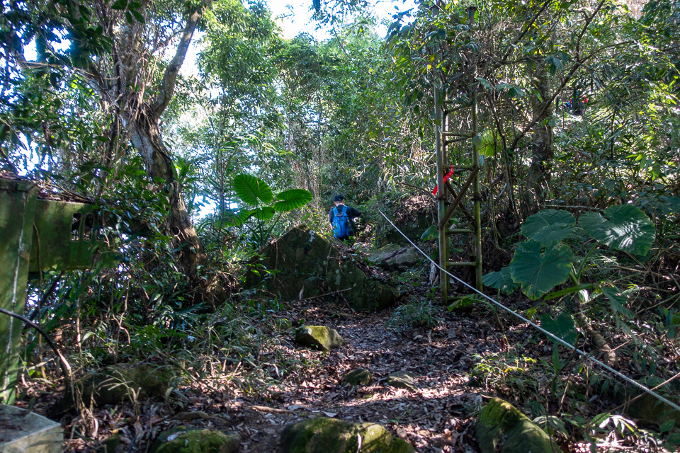 DSC02611.JPG DSC02611.JPG