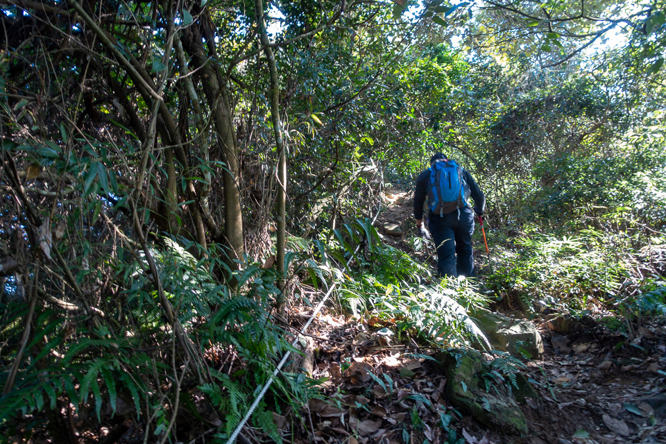 DSC02613.JPG DSC02613.JPG