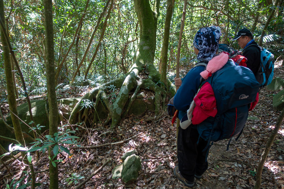 DSC02647.JPG DSC02647.JPG