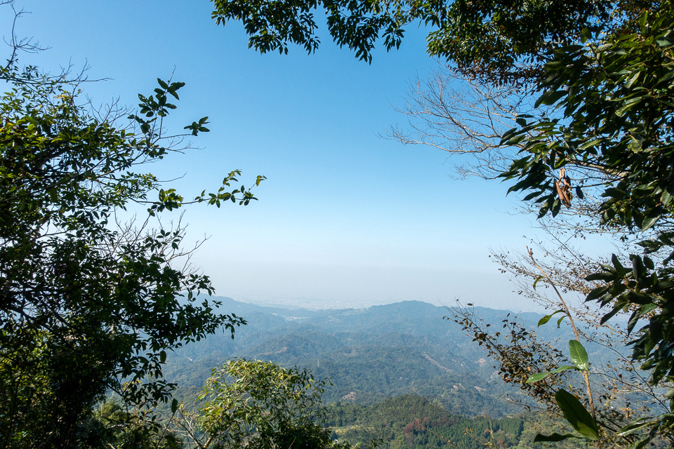 DSC02648.JPG DSC02648.JPG