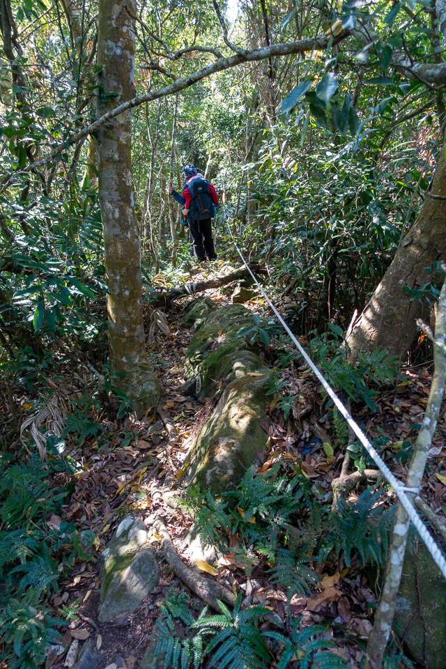 DSC02646.JPG DSC02646.JPG