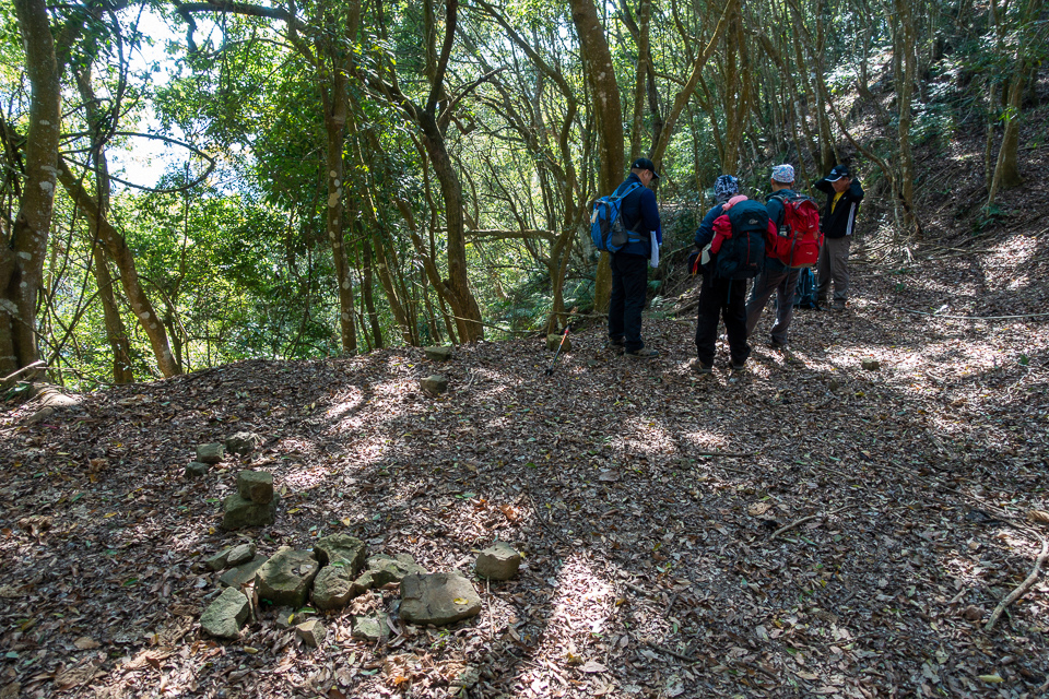 DSC02652.JPG DSC02652.JPG