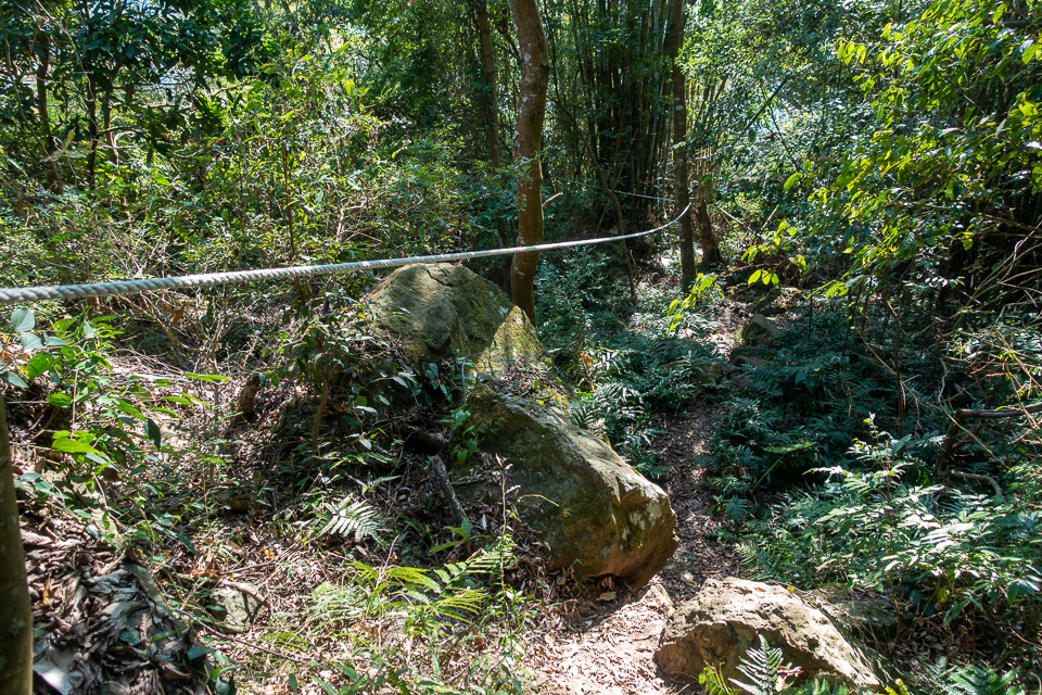 DSC02654.JPG DSC02654.JPG