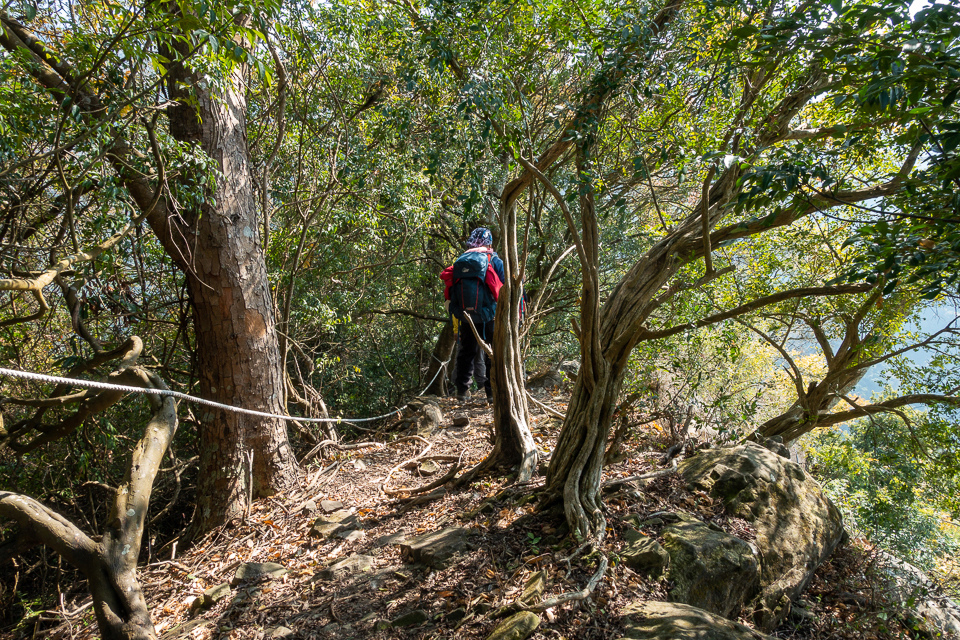 DSC02657.JPG DSC02657.JPG