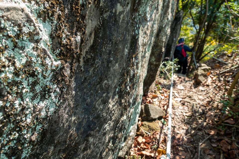 DSC02662.JPG DSC02662.JPG