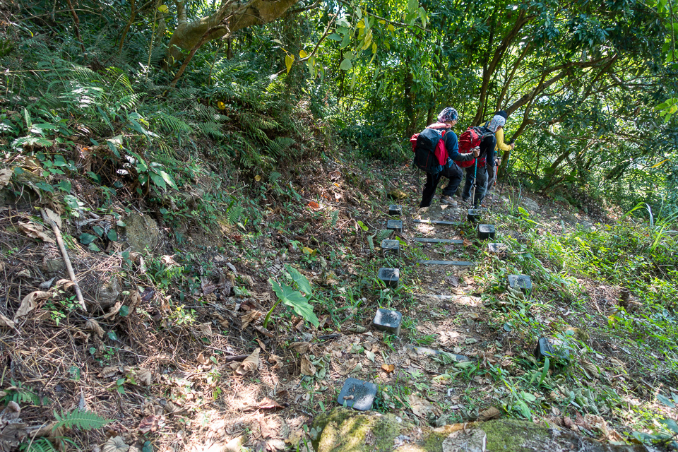 DSC02664.JPG DSC02664.JPG