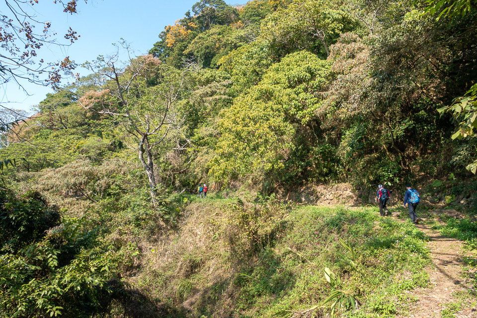 DSC02665.JPG DSC02665.JPG