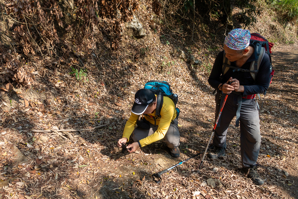 DSC02688.JPG DSC02688.JPG