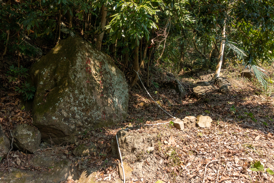 DSC02690.JPG DSC02690.JPG