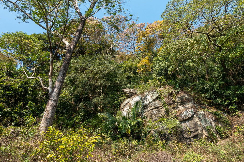 DSC02692.JPG DSC02692.JPG