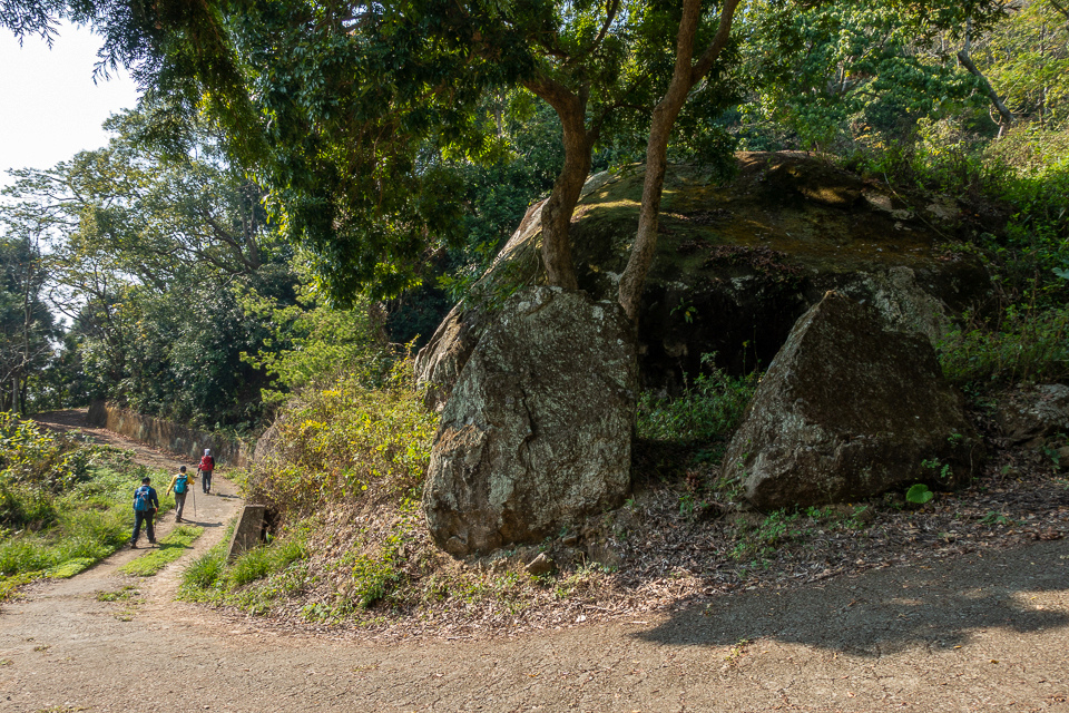 DSC02695.JPG DSC02695.JPG