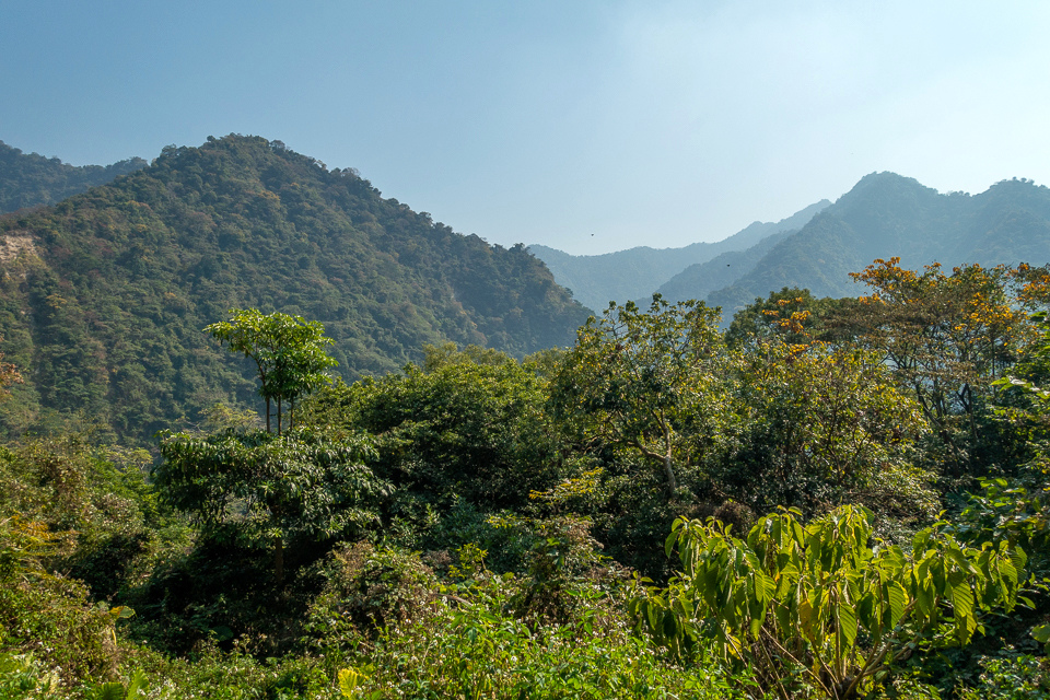 DSC02696.JPG DSC02696.JPG