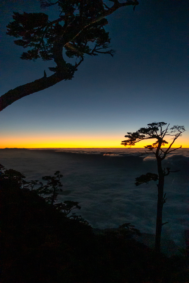 DSC03197.JPG DSC03197.JPG