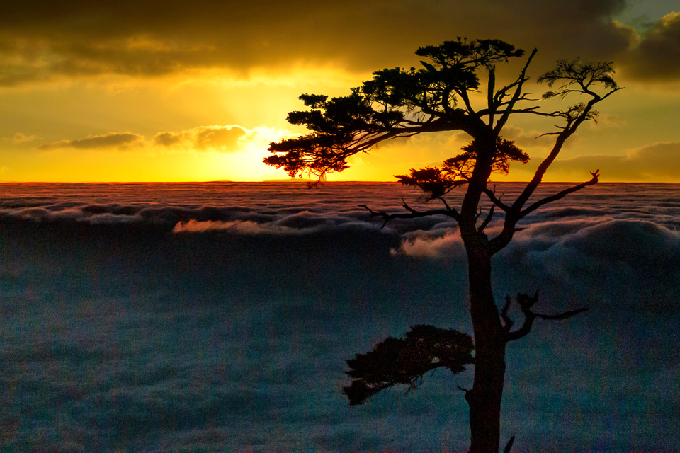 DSC03193-編輯.JPG DSC03193-編輯.JPG